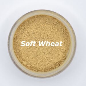 soft wheat foundation shade